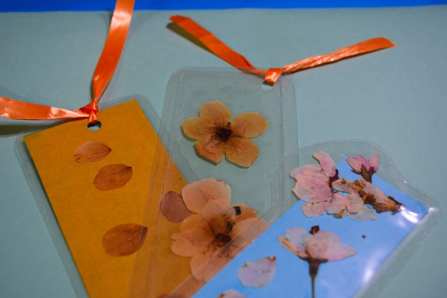 メディケア情報の保護